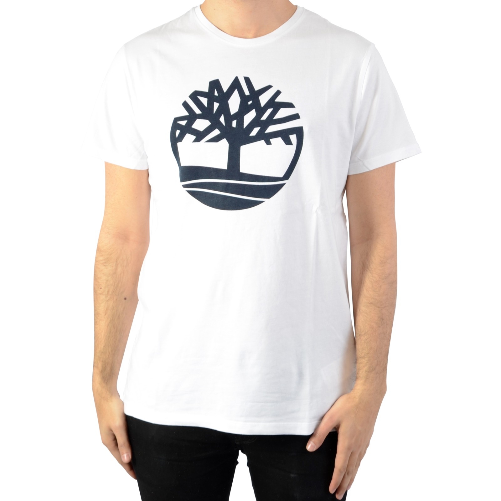 Tee-Shirt Timberland SS Brand Reg 