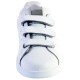Basket Victoria 