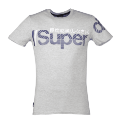 Tee Shirt SuperDry Core Split Logo