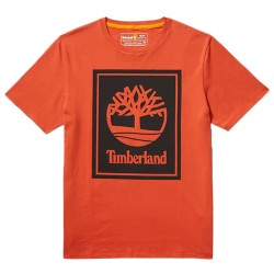 Tee Shirt Timberland SS Stacl L Tee Reg