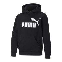 Sweat A Capuche Puma Big Logo Hoodie