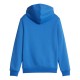 Sweat Capuche Enfant Puma Ess + 2 Col Big Logo