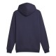 Sweat Capuche Puma Ess + 2 Col Small Logo