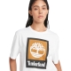 Tee Shirt Timberland Colored Short Sleeve