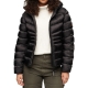 Doudoune Superdry Hooded Fuji quilt Padded Jkt