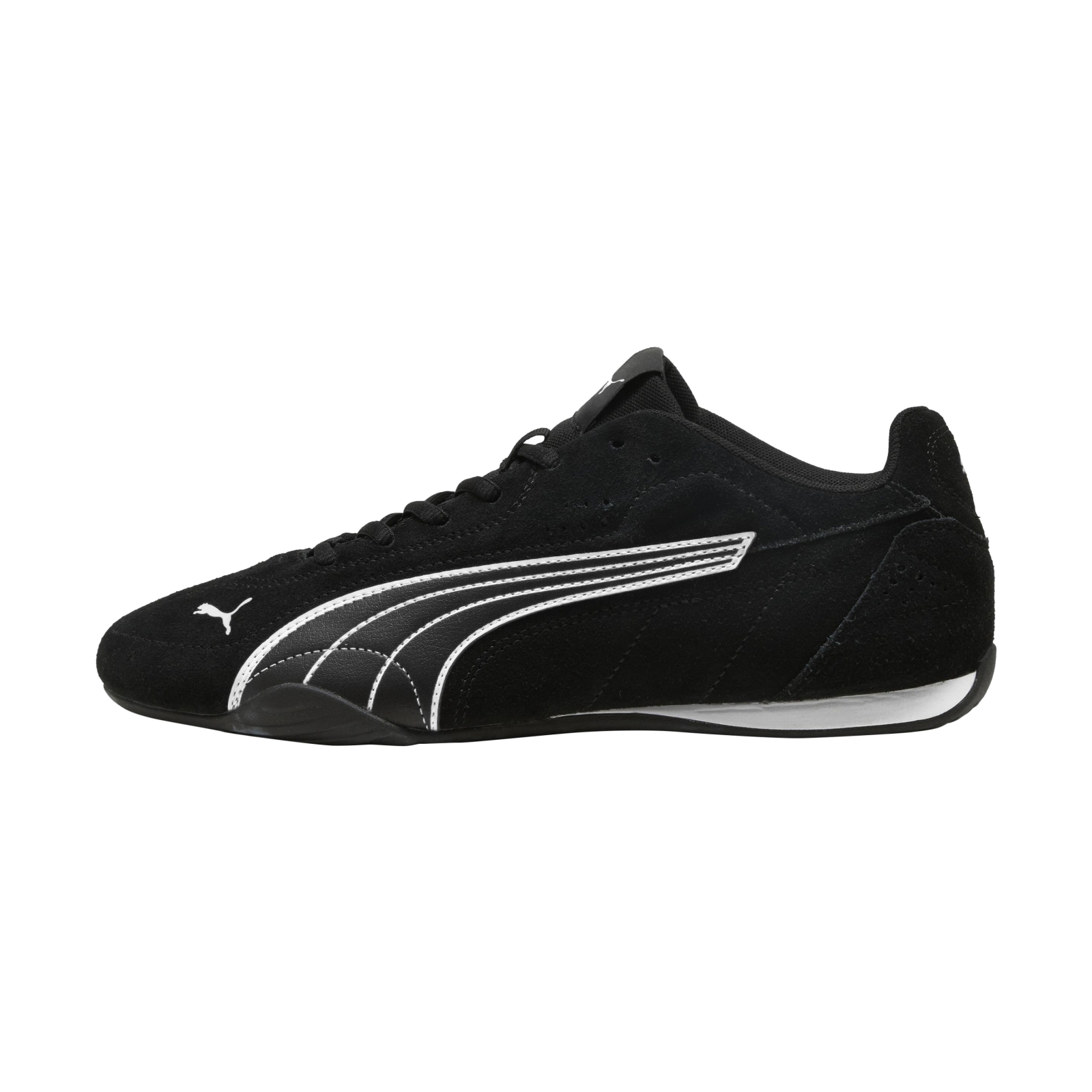 Basket Cuir Puma Catch SD