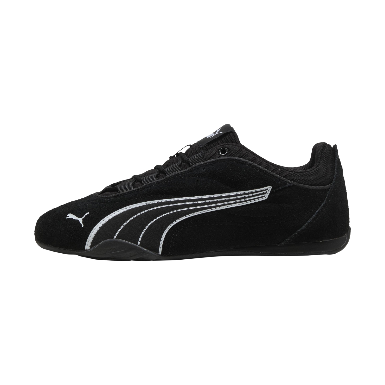 Basket Basse Cuir Puma Catch SD