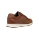 Basket Cuir Geox Avery