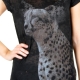 Tee Shirt Only Kitty Brigite Noir / Leopard