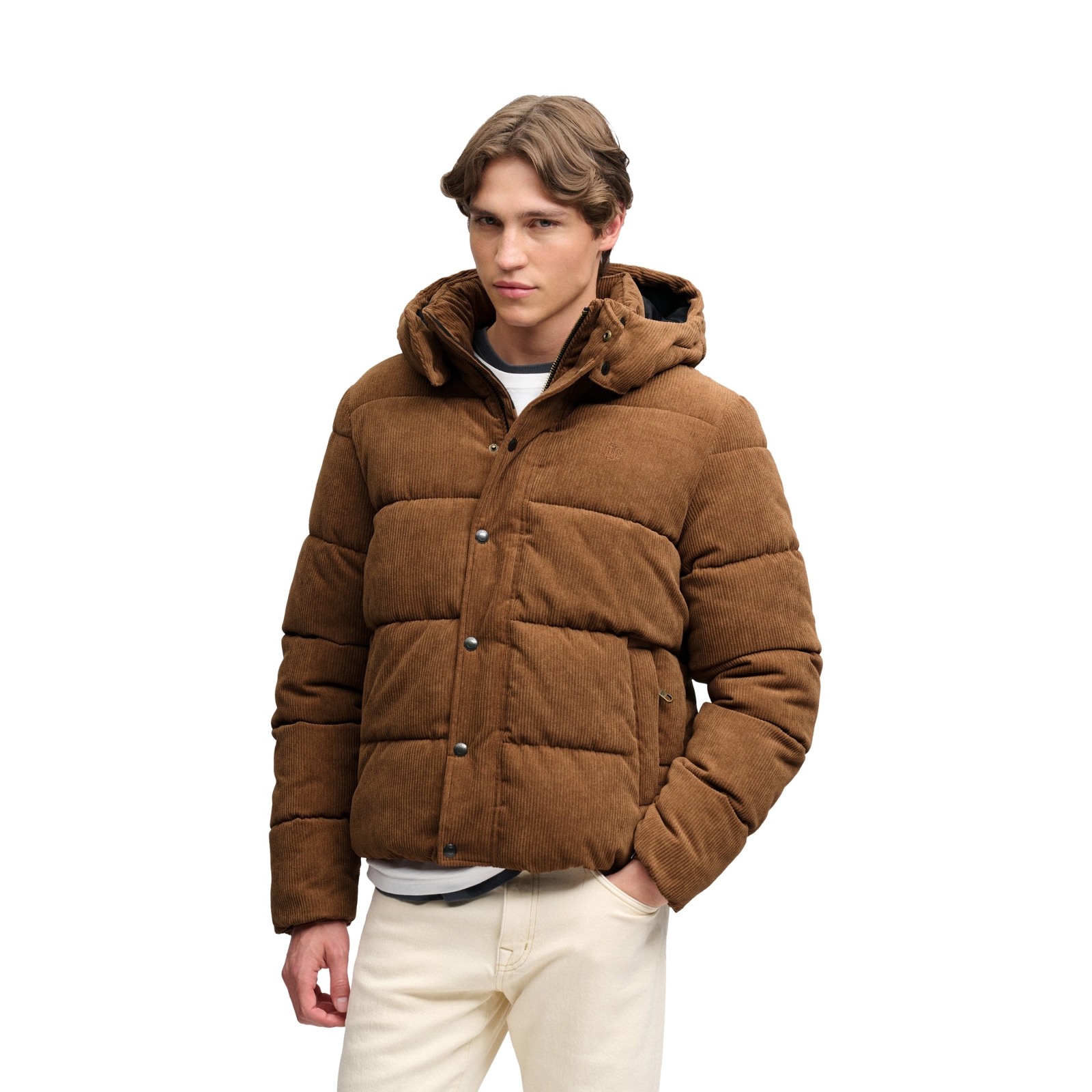 Doudoune à Capuche en velours Superdry Premium Cord Puffer