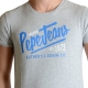 Tee Shirt Pepe Jeans Enfant Ace PB500388 Gris 913