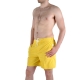 Short de bain Speedo Anchor Jaune