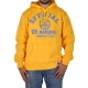 Sweat Capuche Us Marshall Athletic Dept Jaune / Bleu Ciel